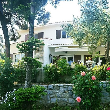 Villa Eleonas Nea Iraklitsa Bagian luar foto